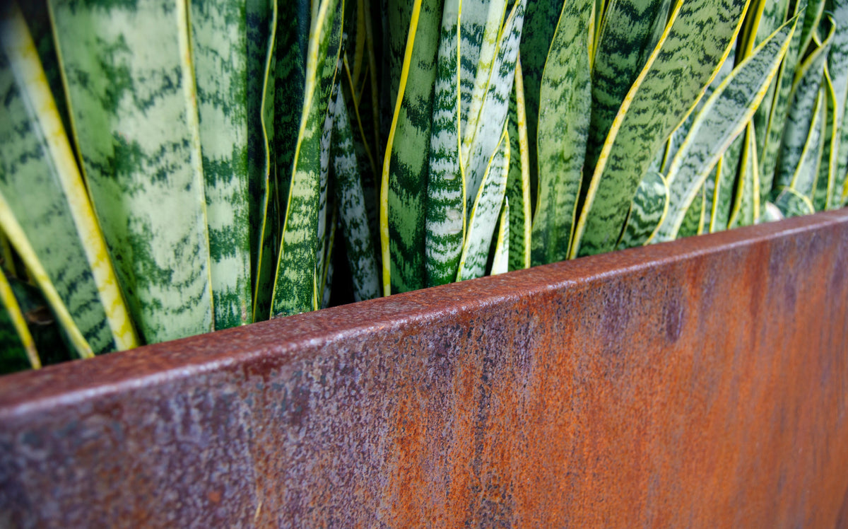 Corten Steel Edge Planters - FREE SHIPPING!