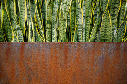 Corten Steel Edge Planters - FREE SHIPPING!